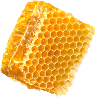 honeycomb